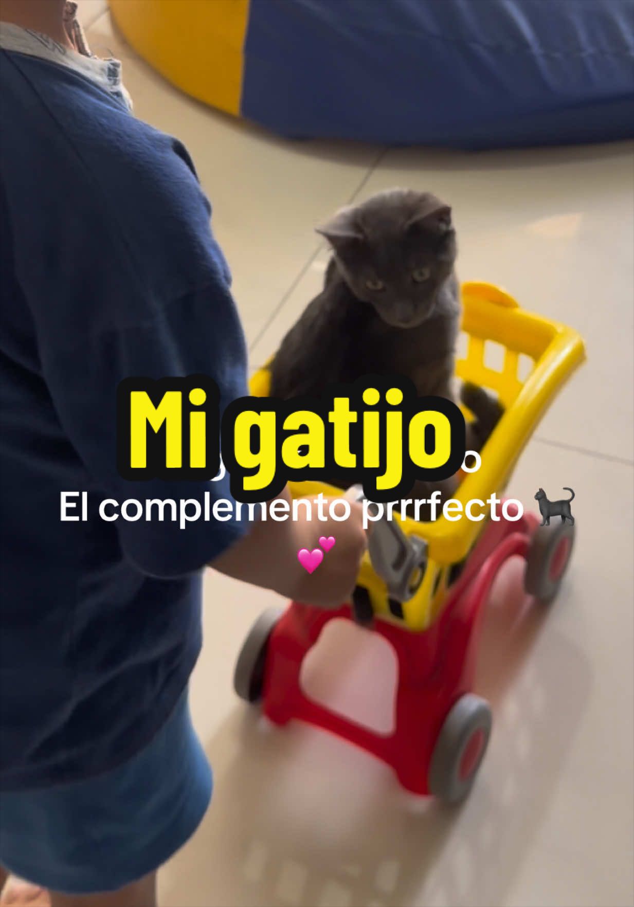 @Angeles Hurtado Saavedra