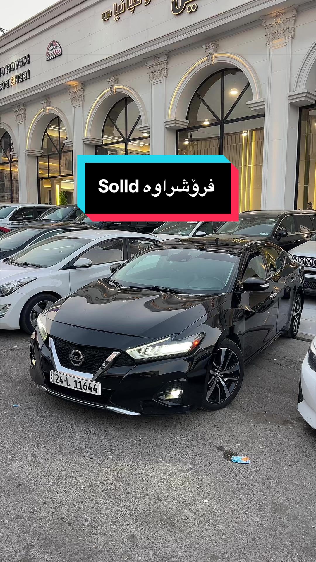 @Dana Cars🏎️