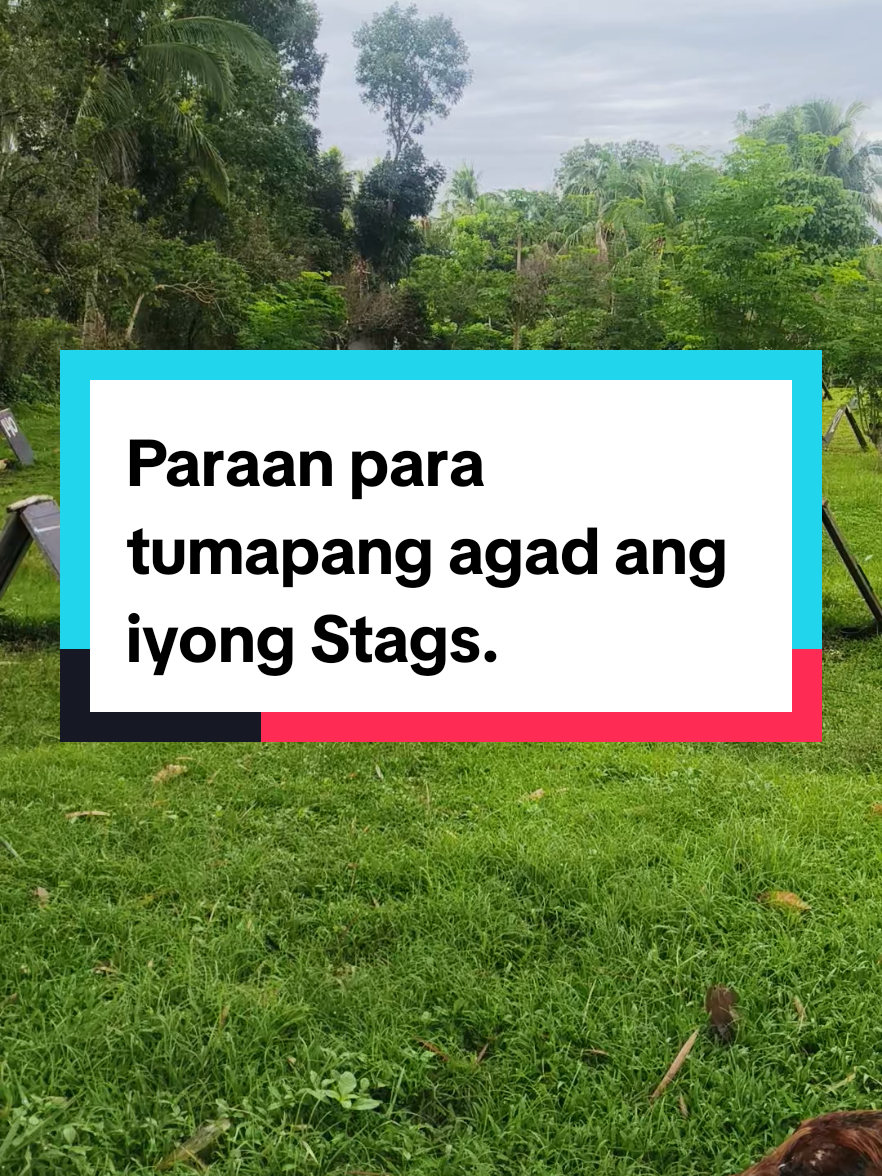 @Dr. Eugene