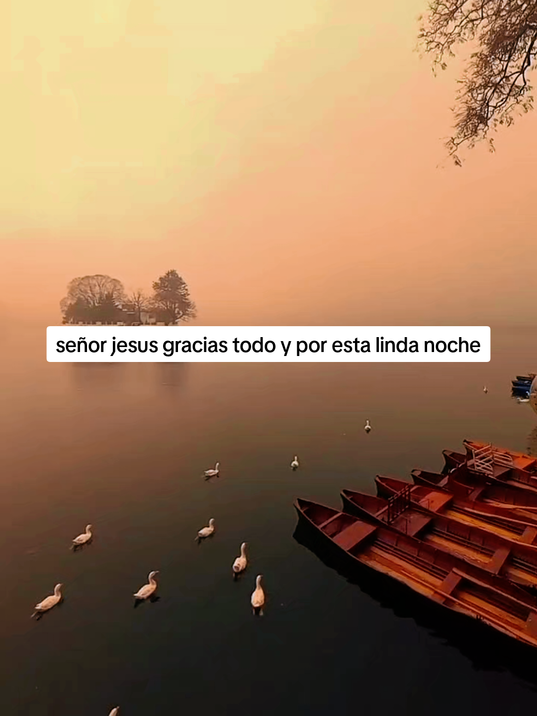 @@Teo Rodriguez