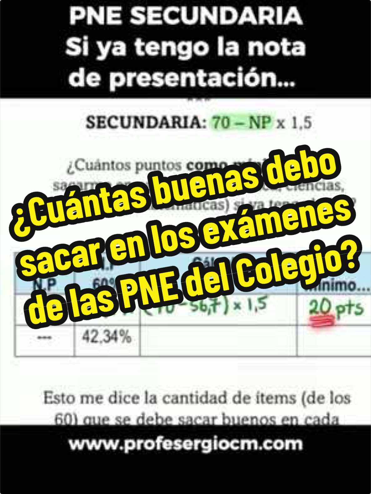 @ProfeSergioCM