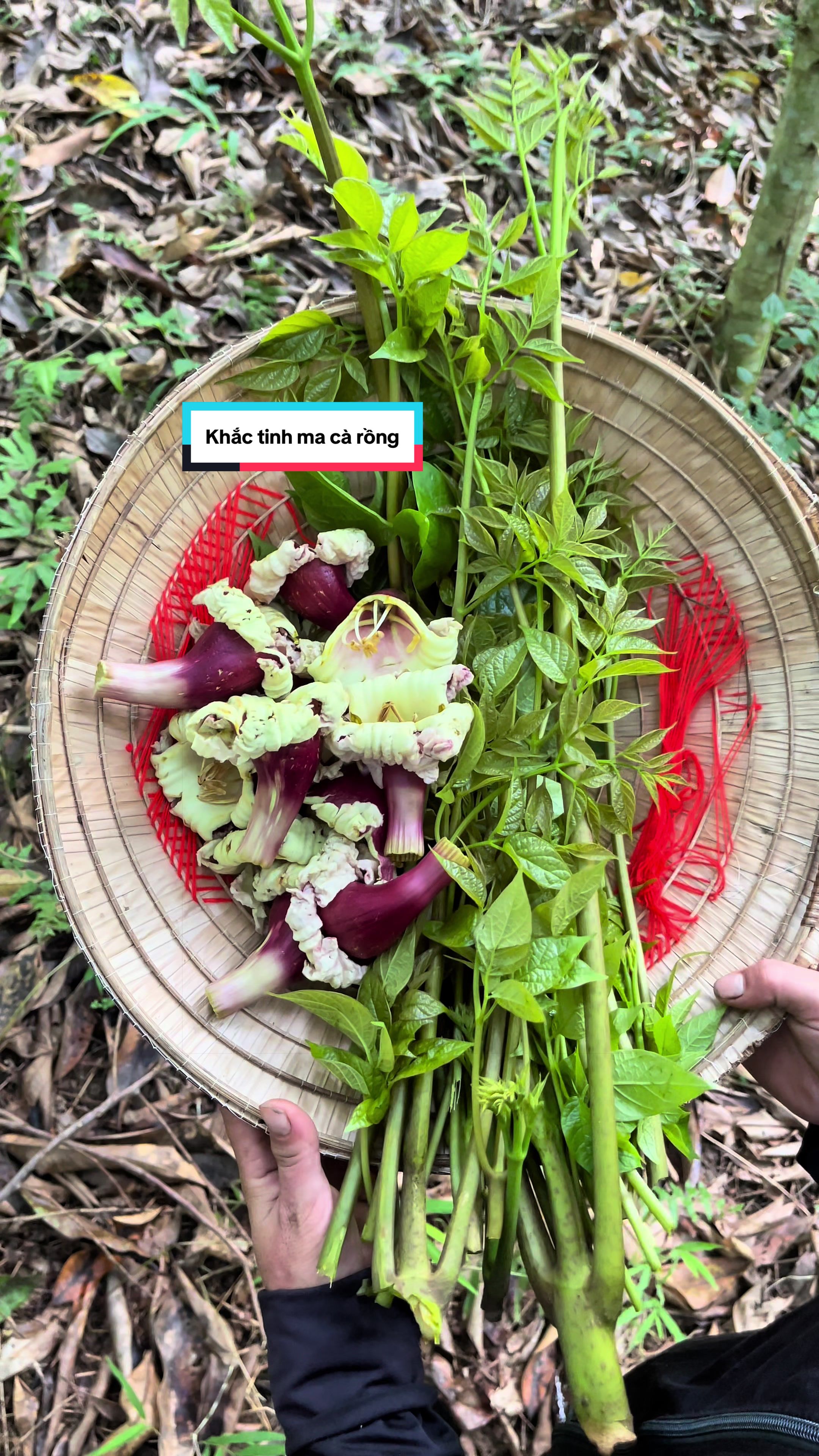 @Sửu Nhii