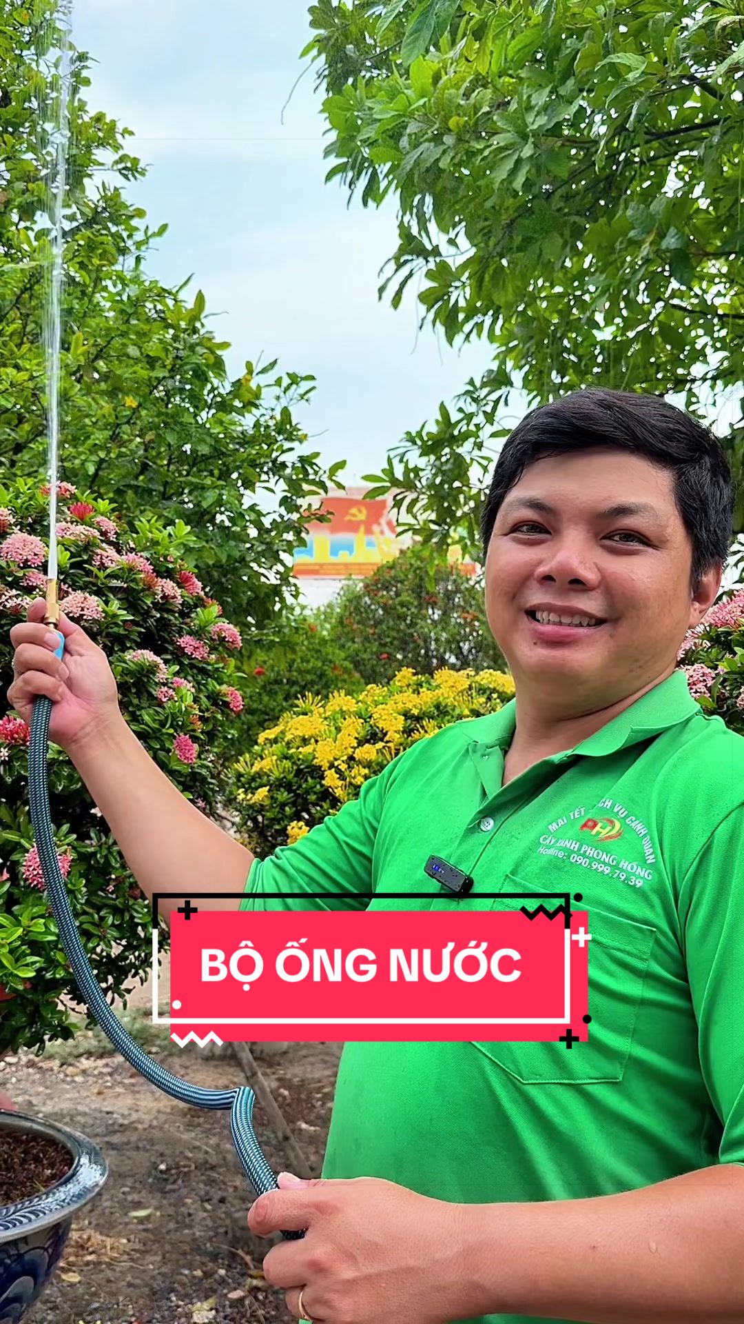 @C&acirc;y Xanh Phong Hồng