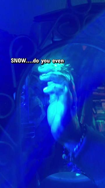 @snowreincarnate