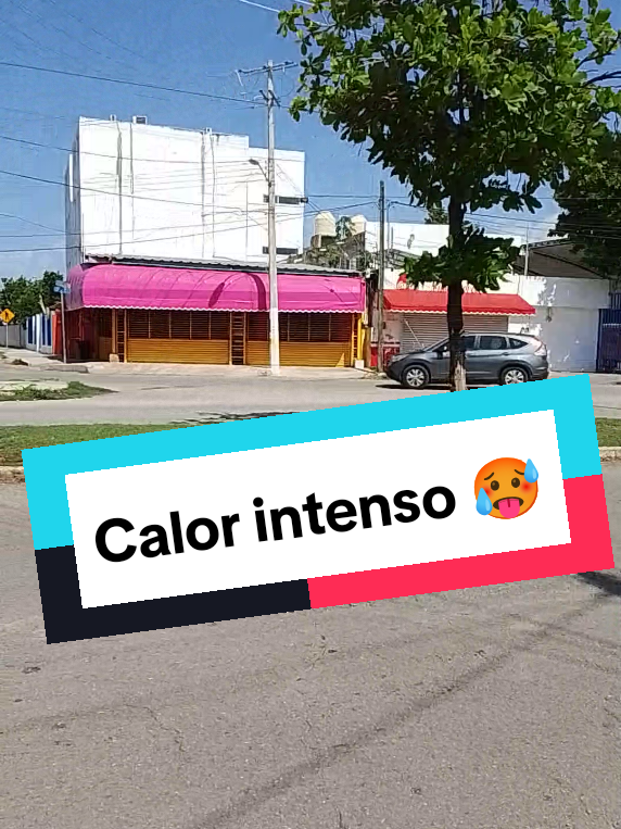 @Camino Hacia la Verdad