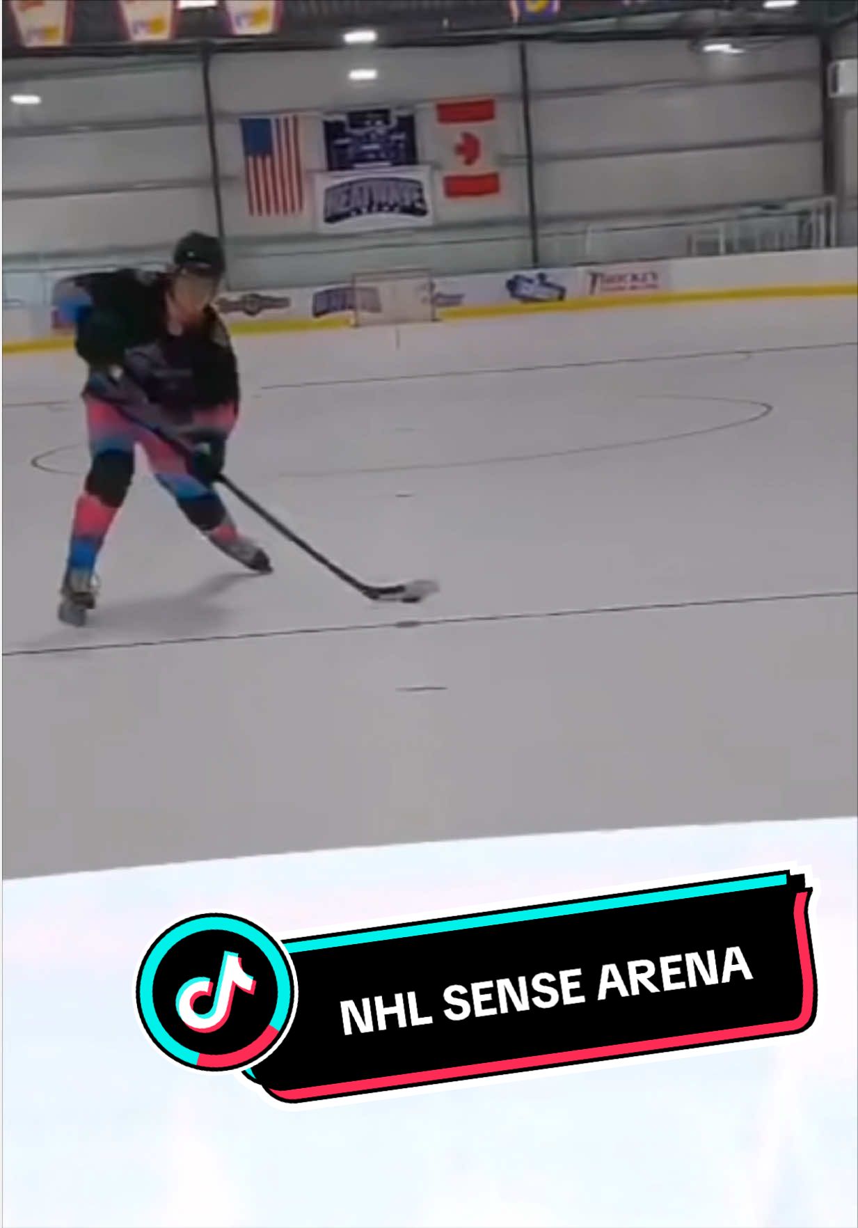@The TikTok Goalie