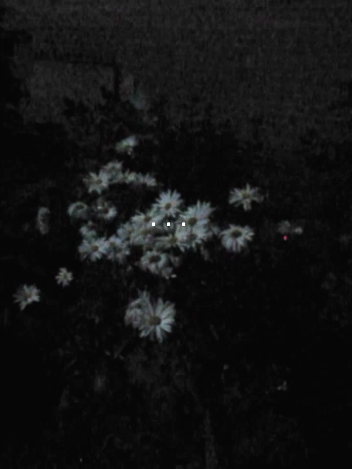 @just disappear.