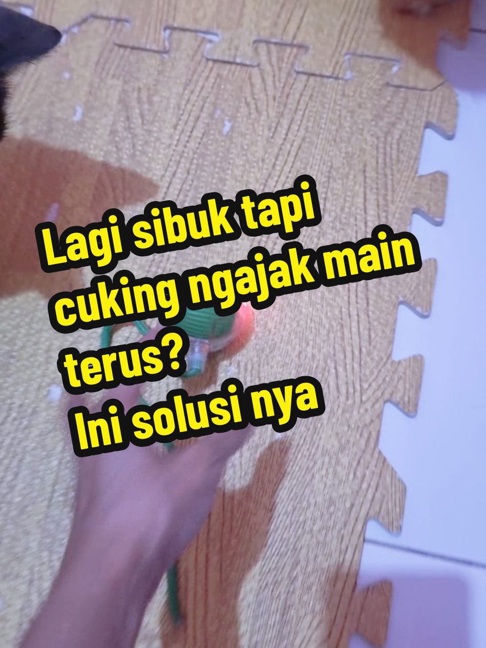 @Chiki and Chiko