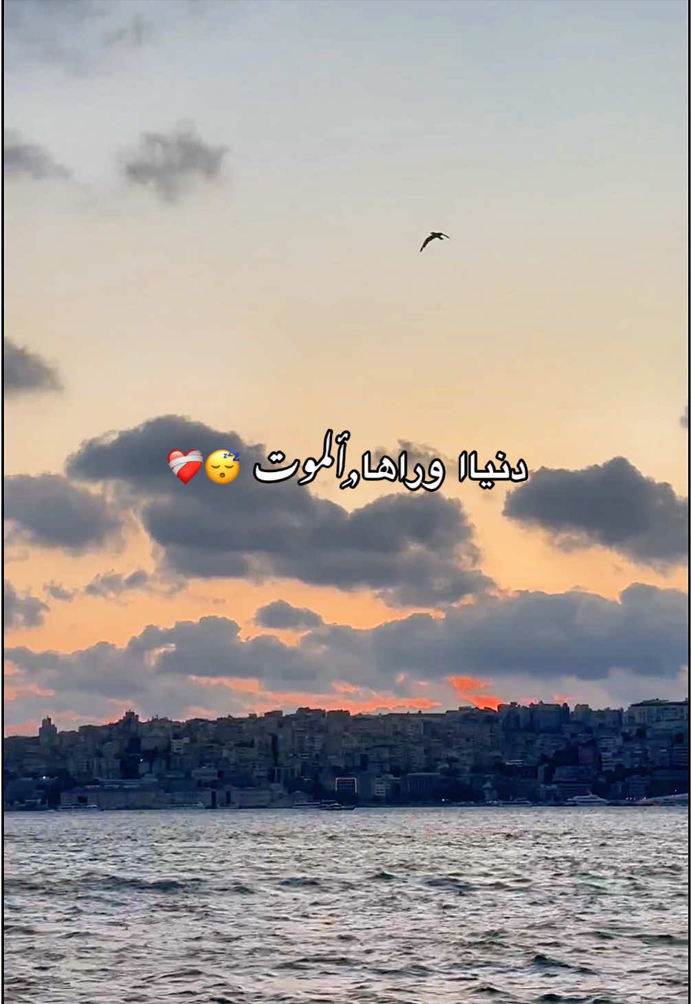@﮼مصطفى ﮼أبولــيـاسووووو 🦅