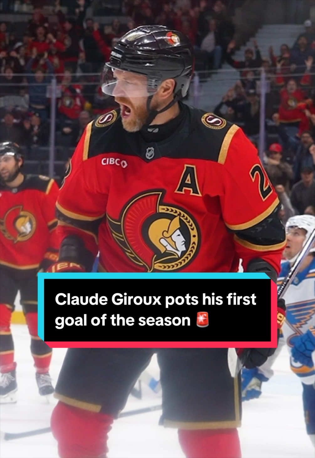 @Ottawa Senators