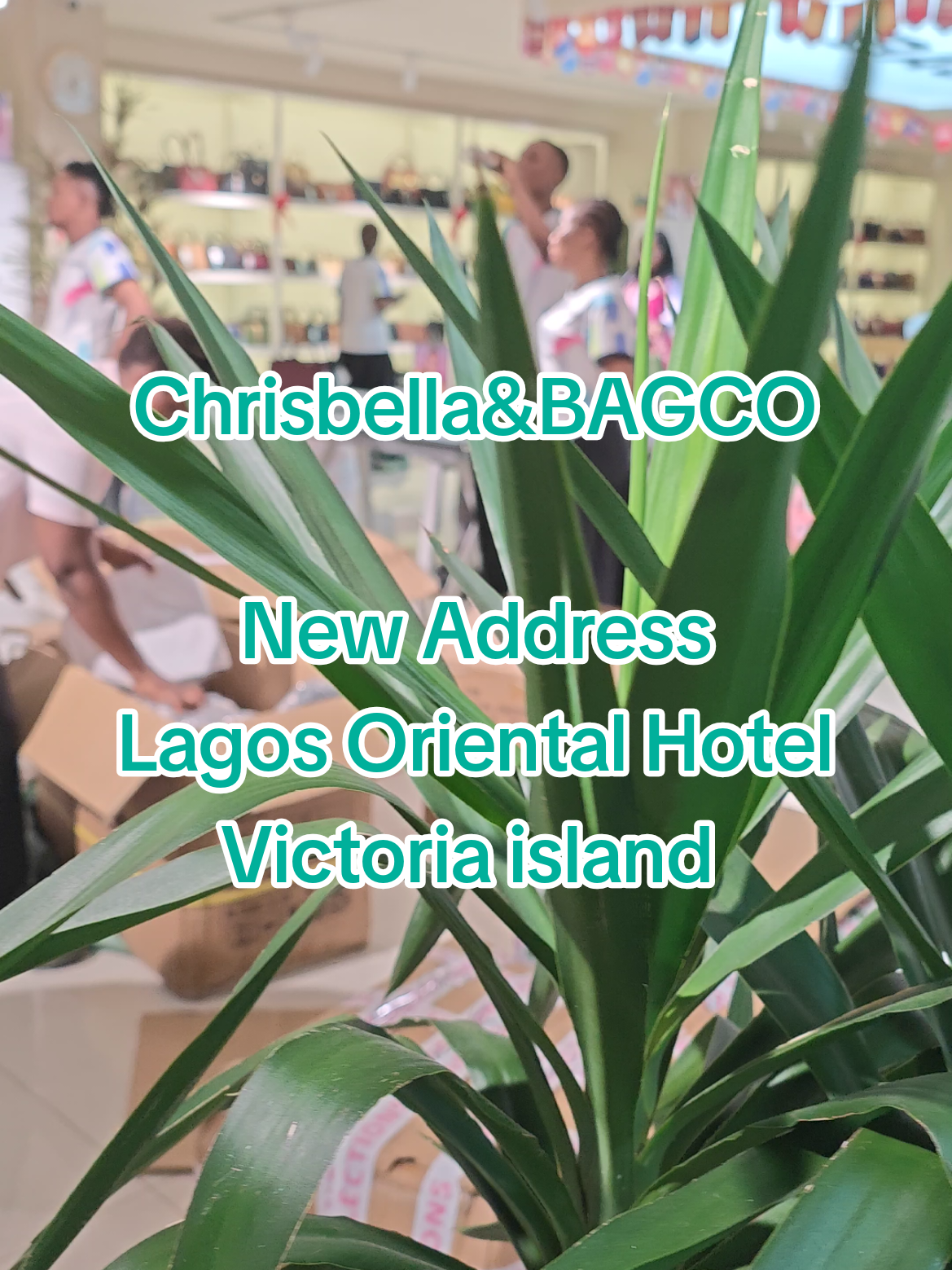 @Chrisbella.Bagco.bag.nigeria