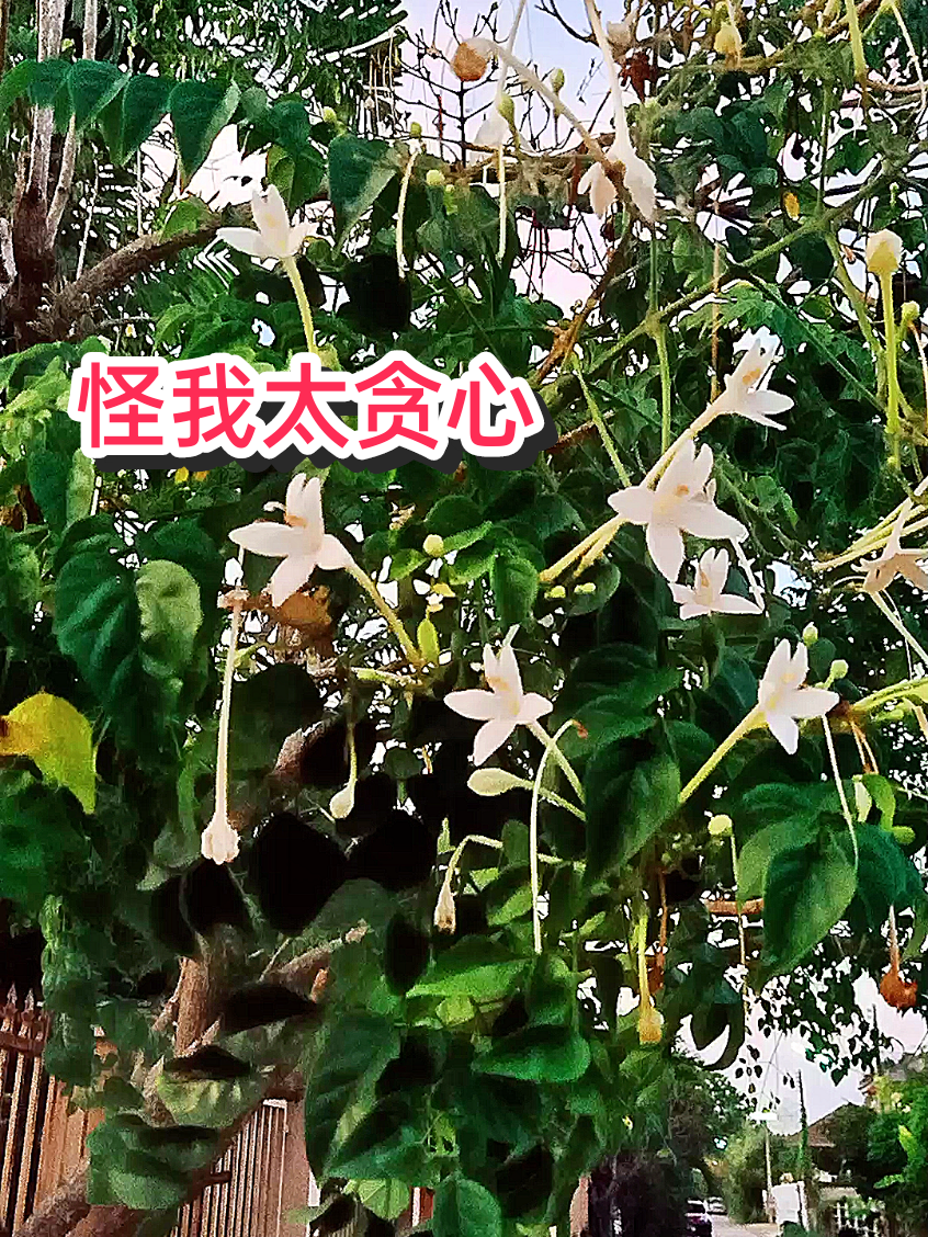 @เฮียชาติขายทุกอย่าง