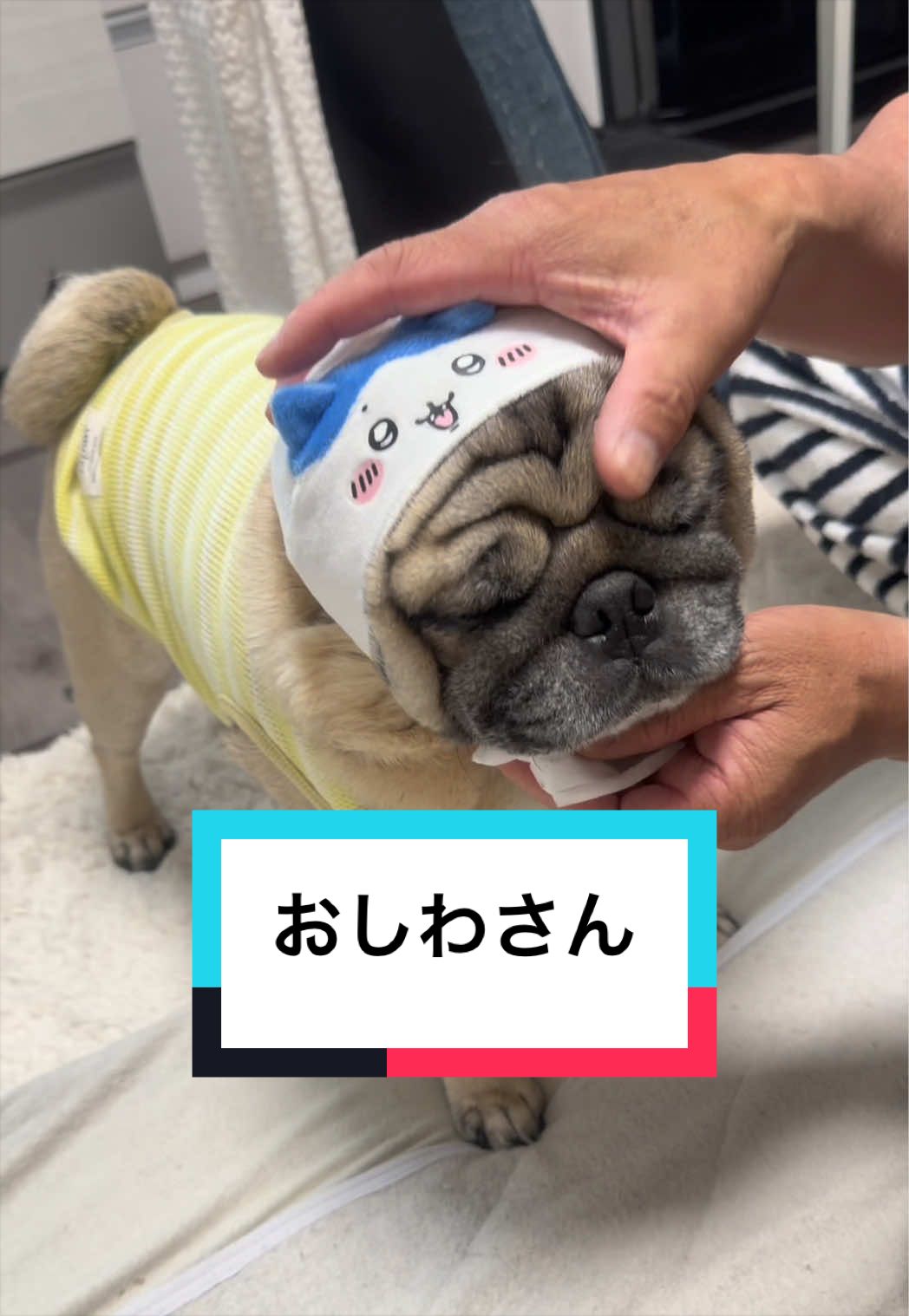 @🐶とん&ぺっぺこぺー🦊