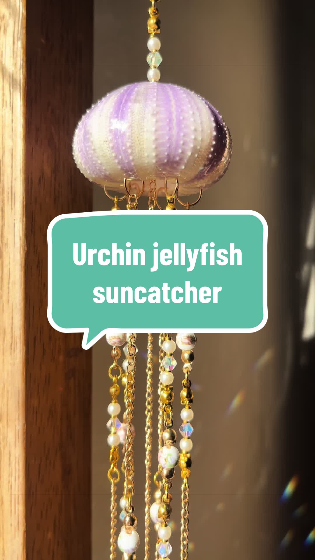 @Dusty J Designs | Shells