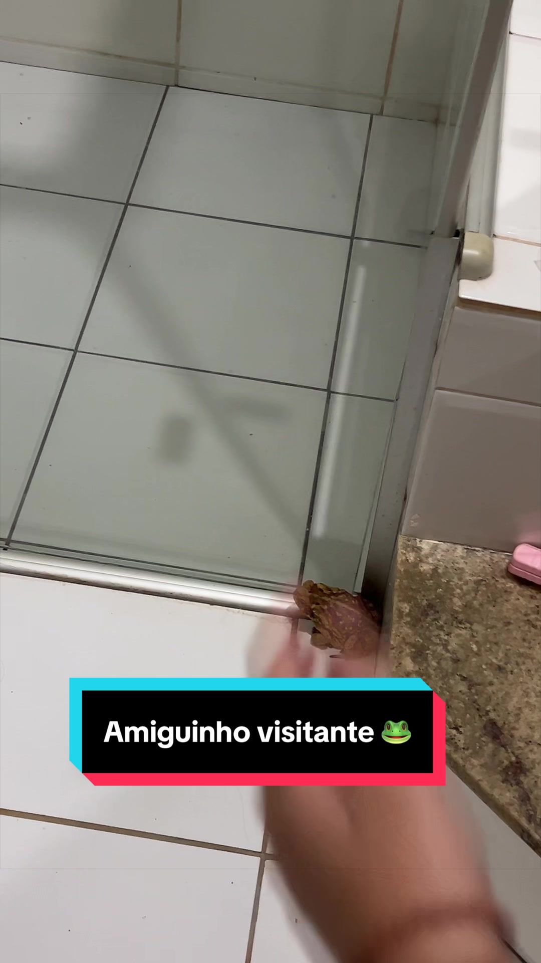 @Mariana Lemos