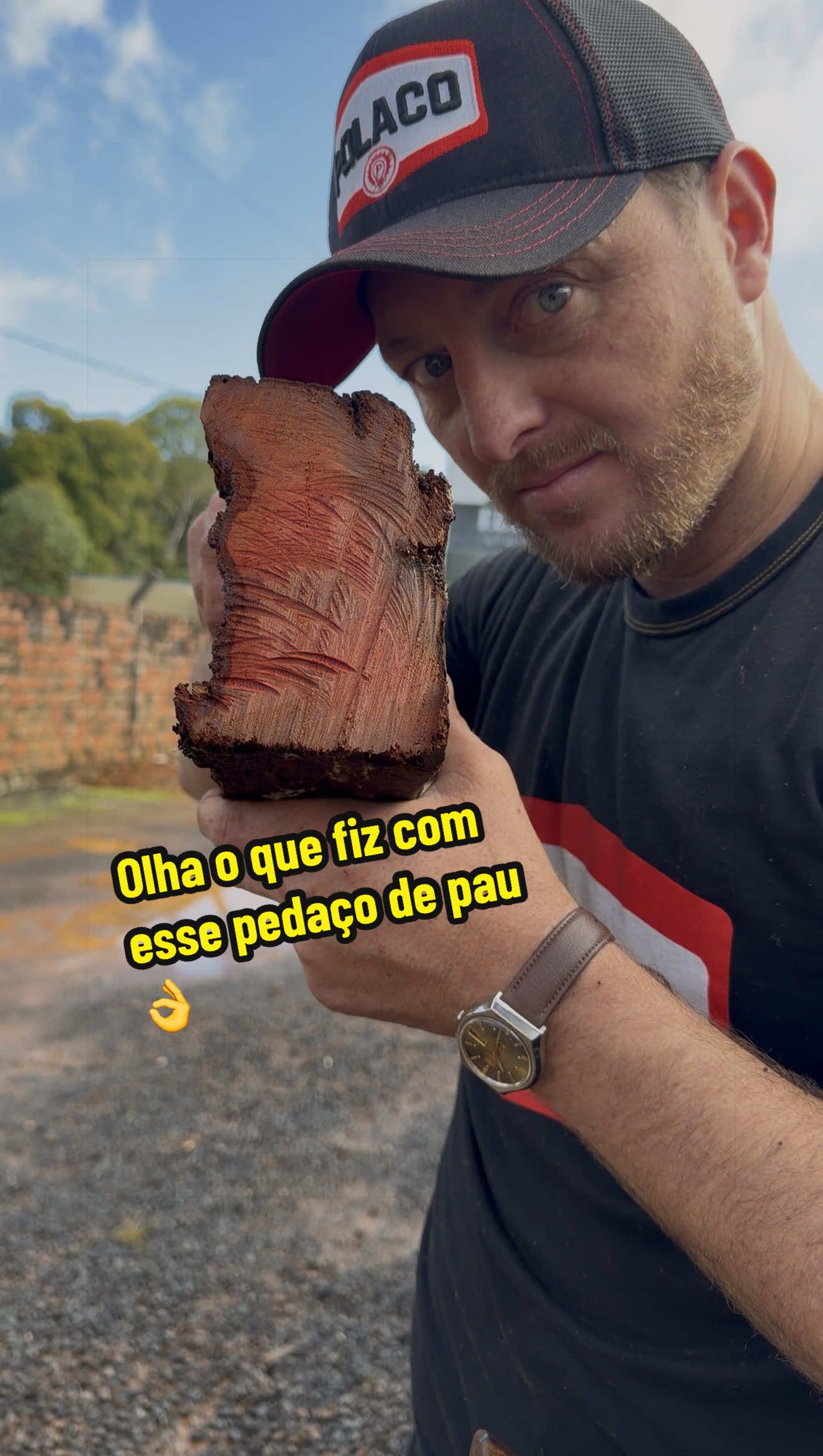 @Márcio Staine(polaco)