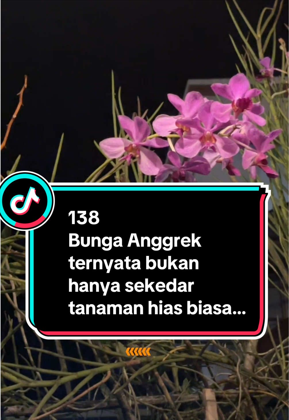 @Fionalois Pertiwi