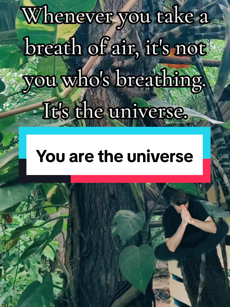 @Psychedelic Integration Coach