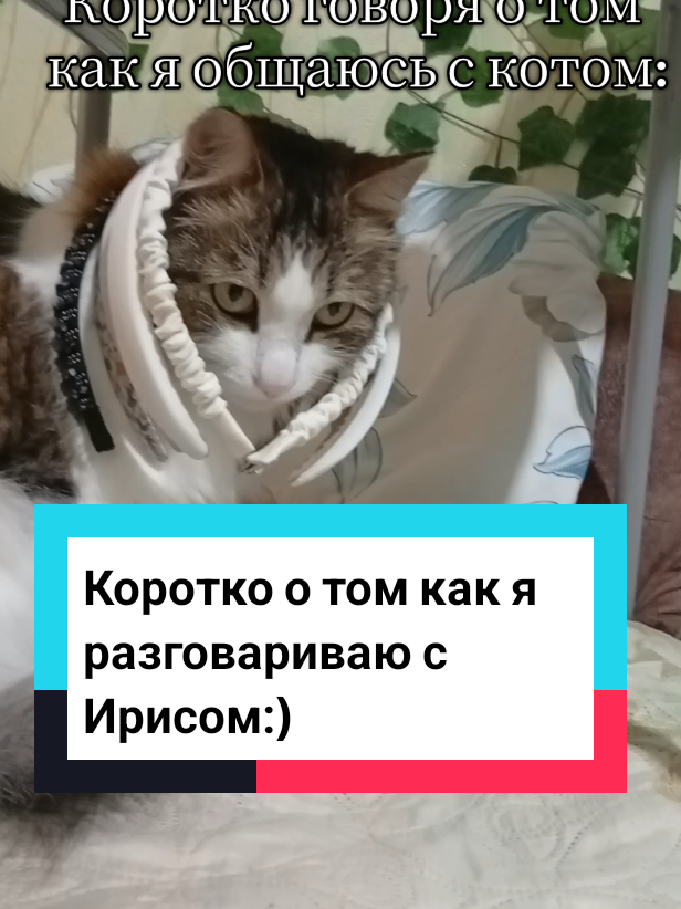 @ФимЭлиз