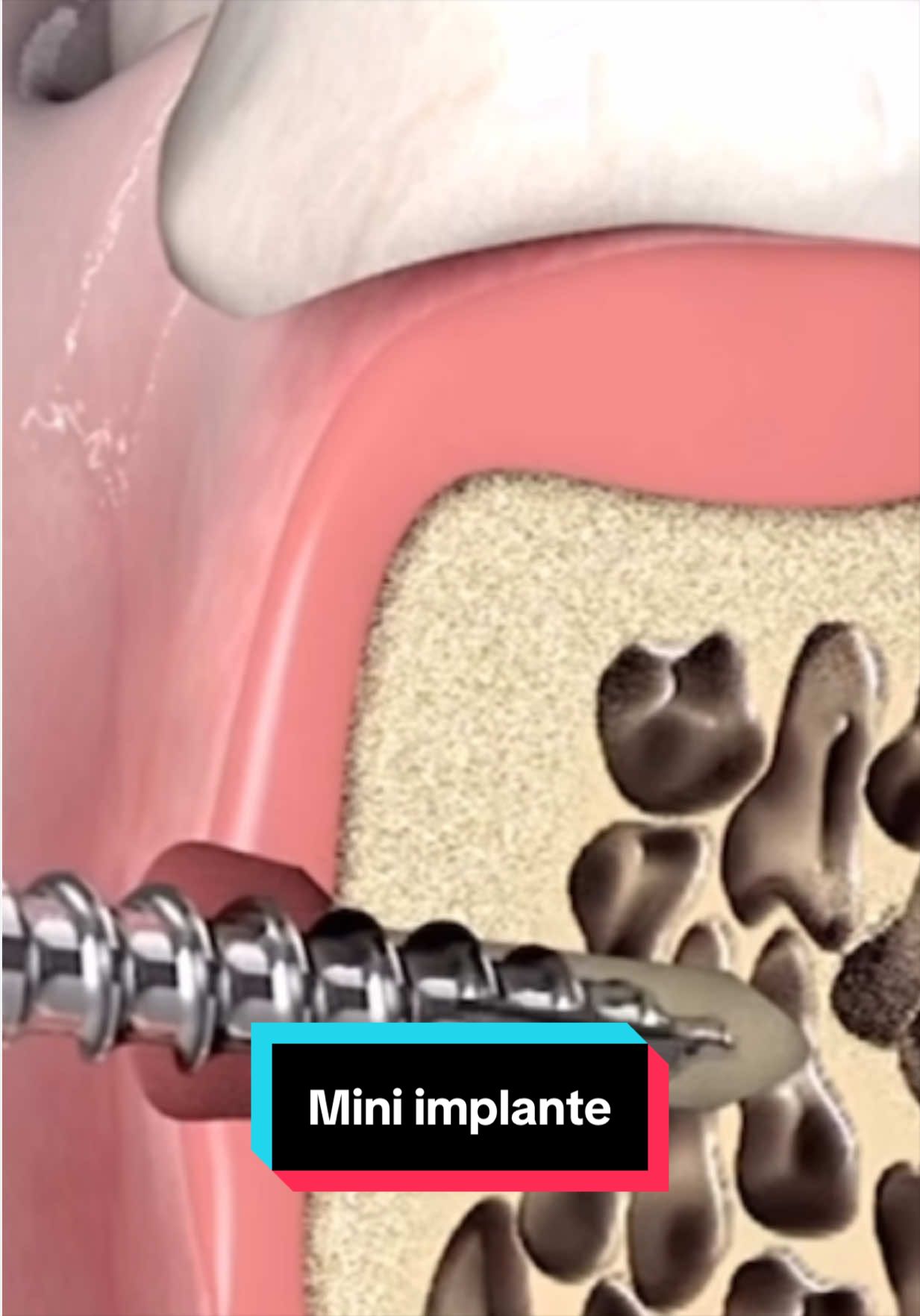 @Clínica Dental Sonrident