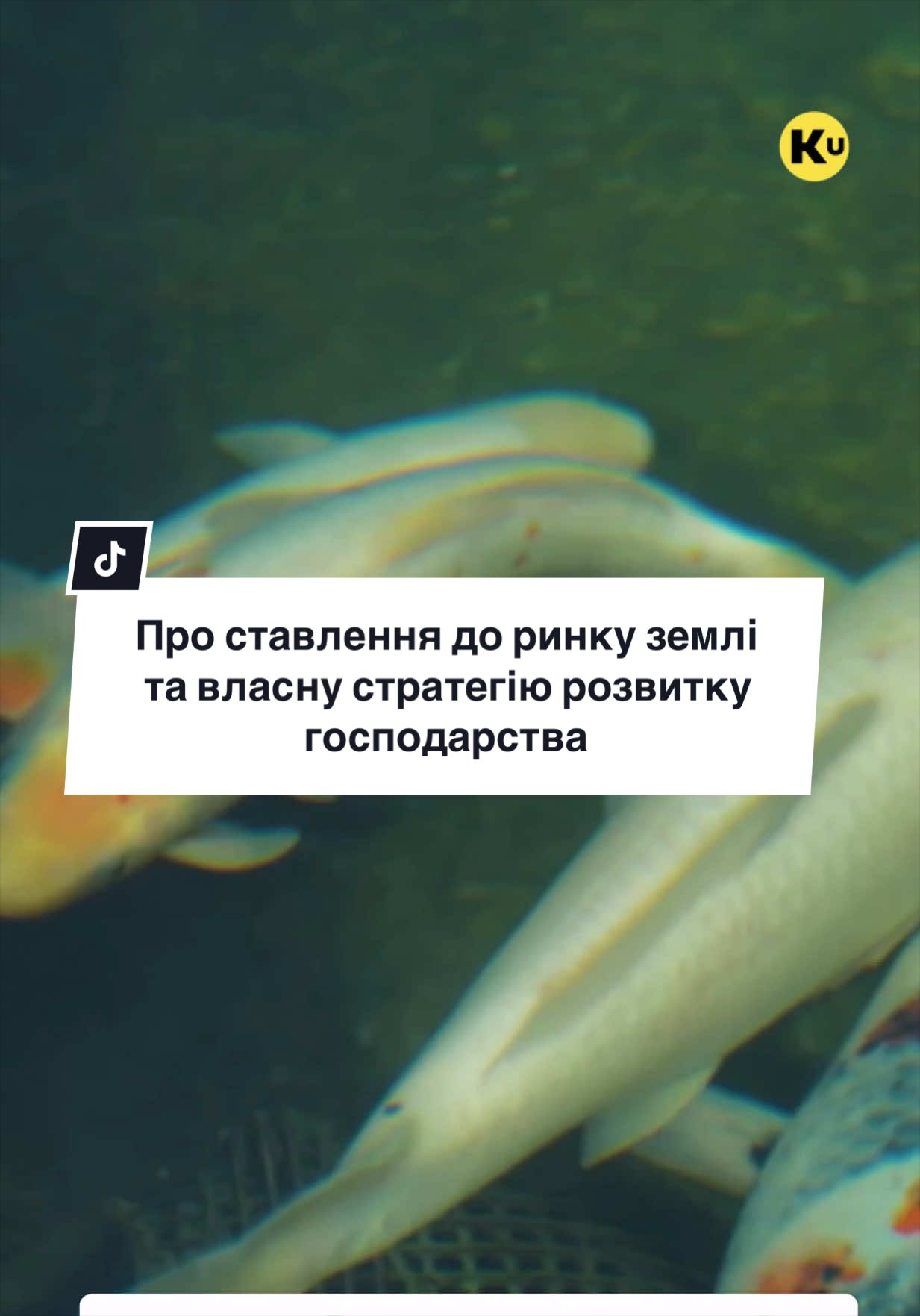 @Ku 🟨🟩 Lati &ndash; Agro Ukraine