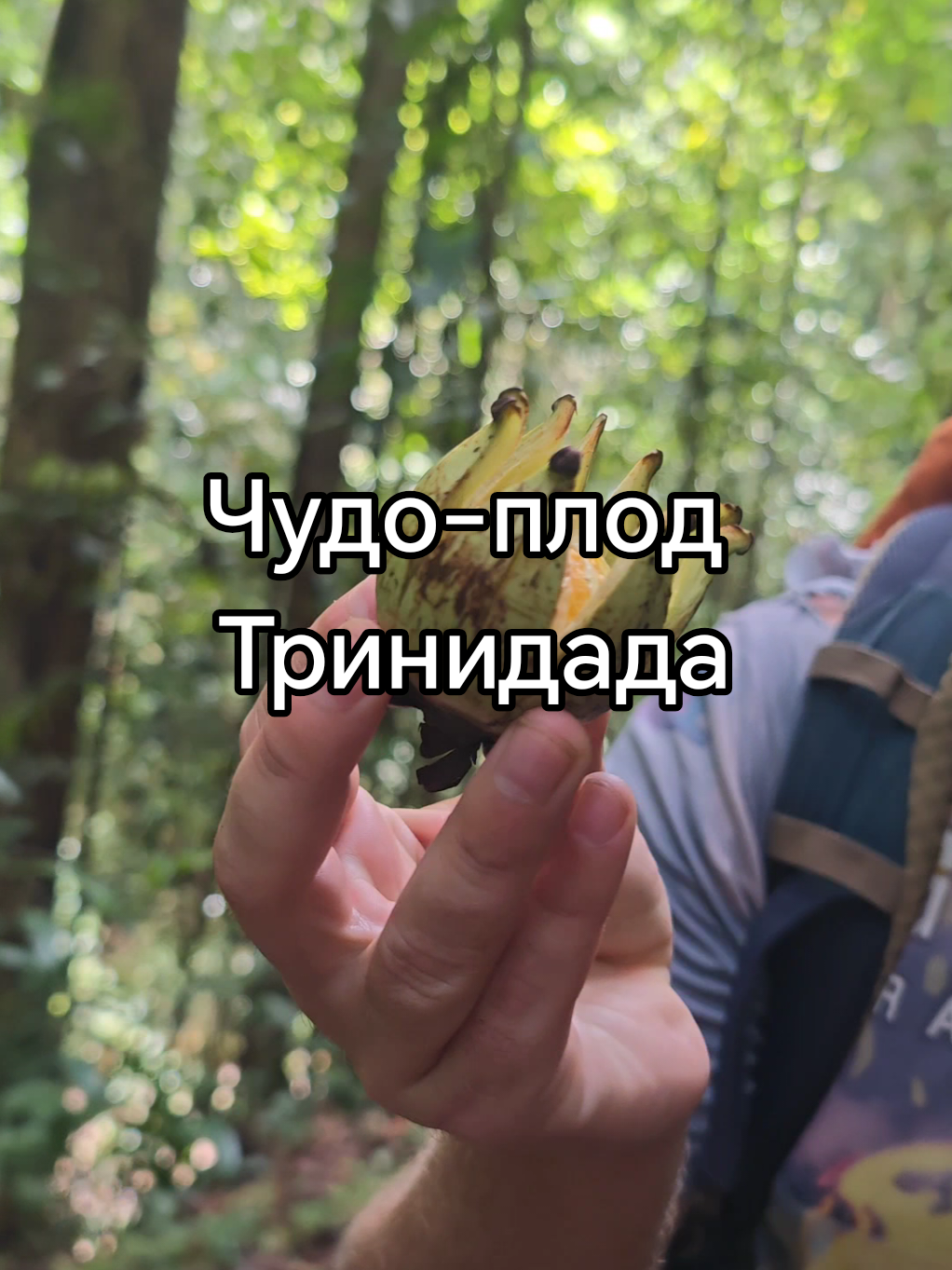 @Homatravel