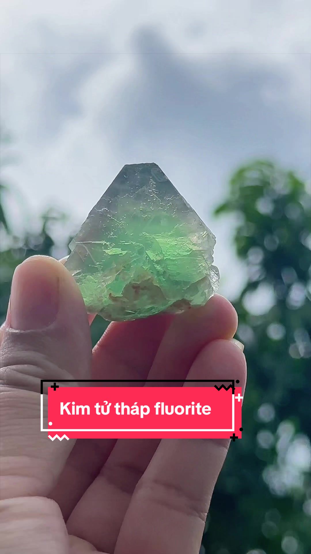 @Thích Đá Thô Nhưng Thật 🌿