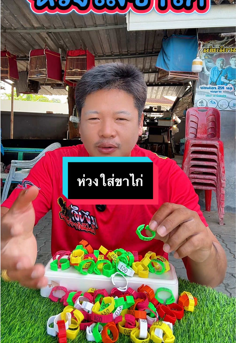 @วุดดี้ รีวิว56