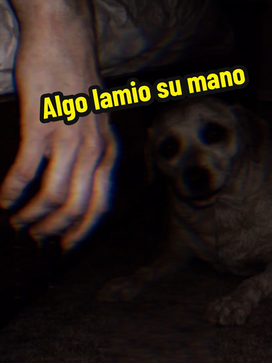 @El diario de coraje