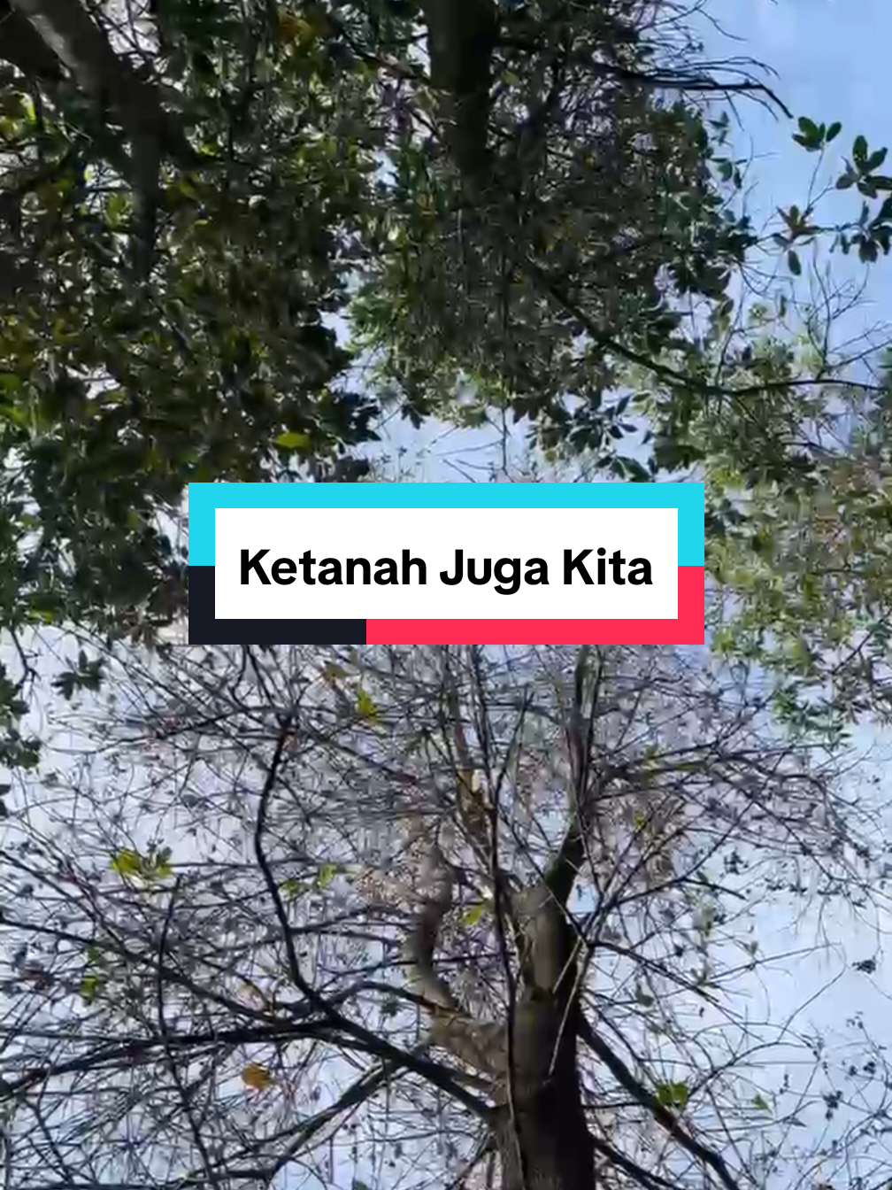 @FATIMAH