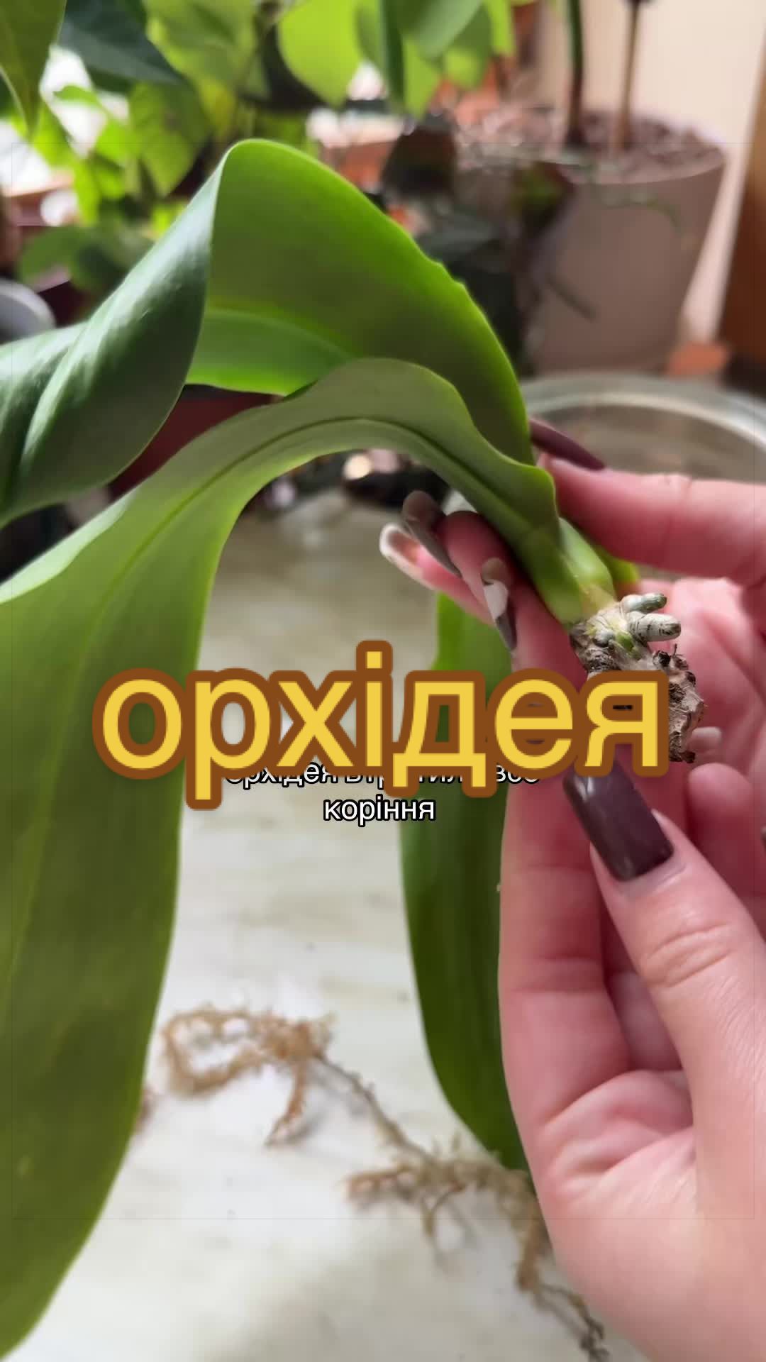 @🧚леся🧚