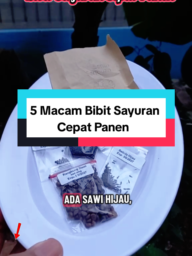 @Roslan.Robert