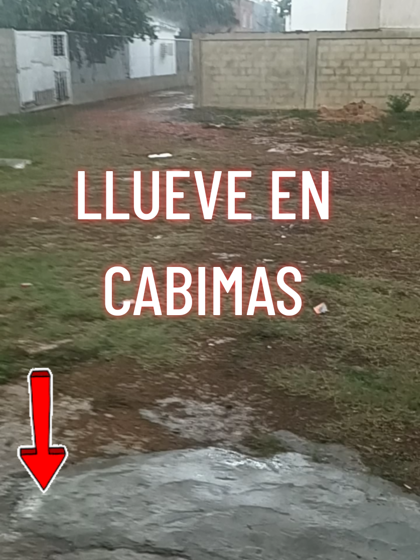 @MIMUNDO1981