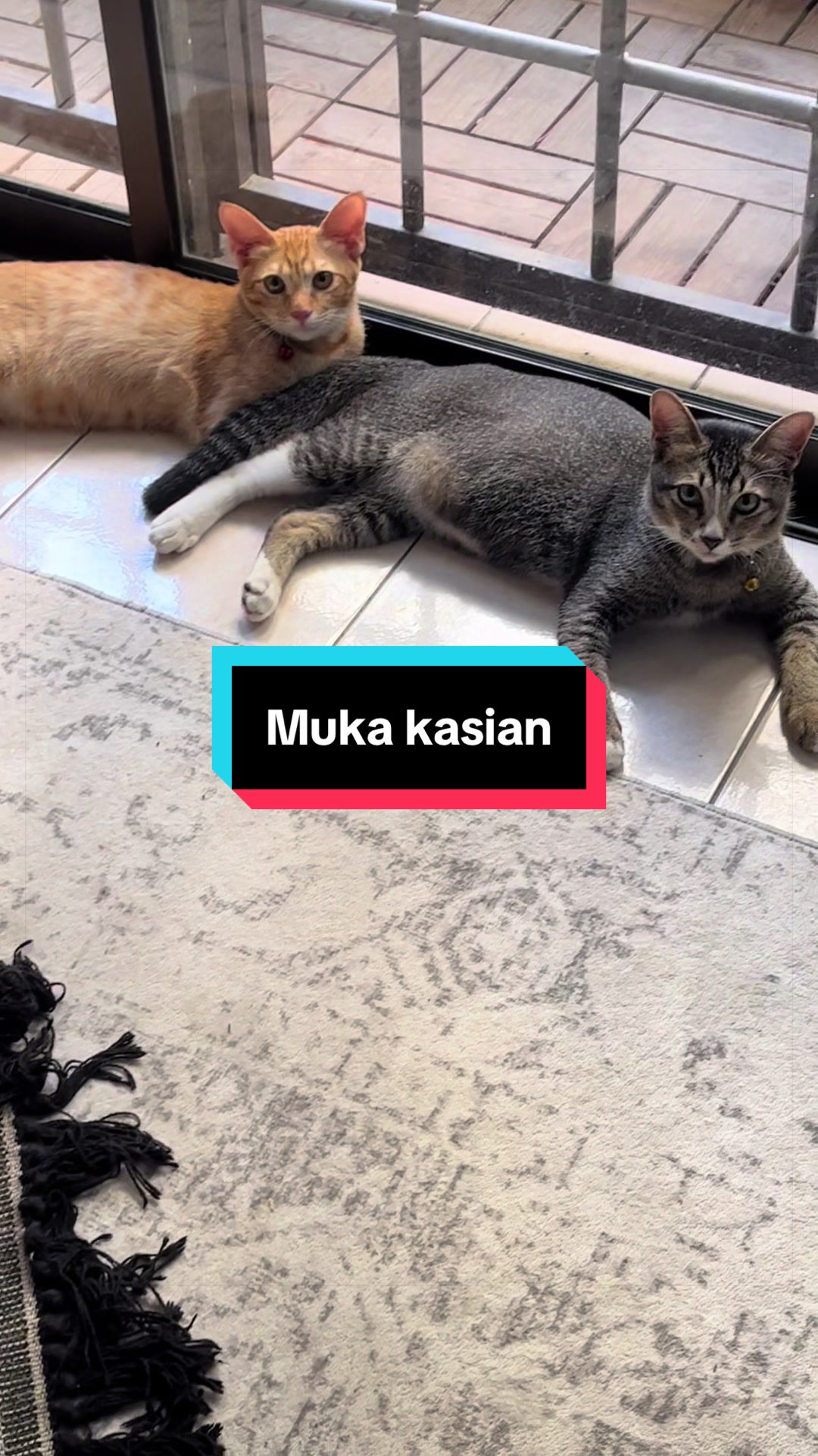 @JANGAN Teng🅾️k