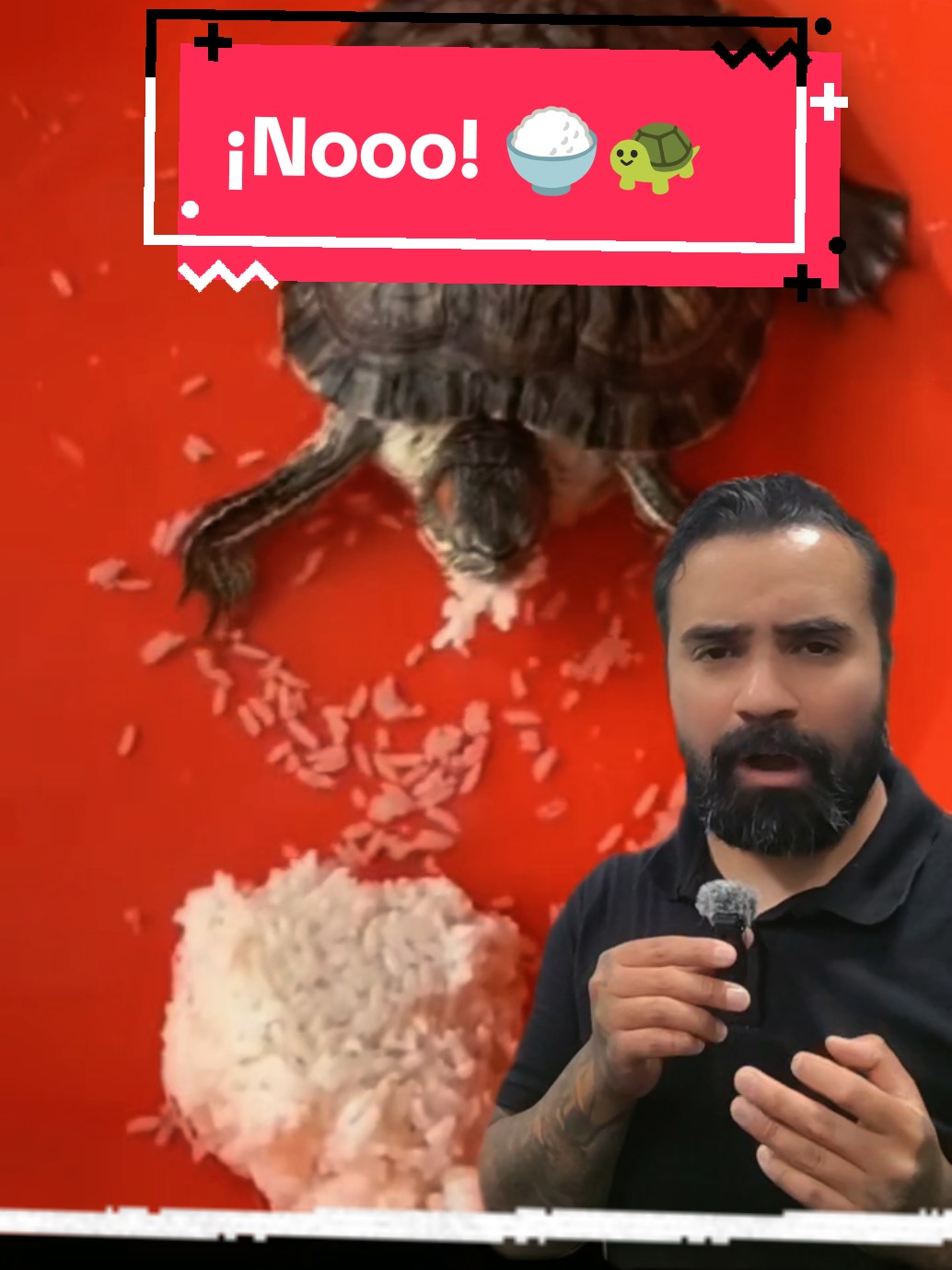 @Tortubalance
