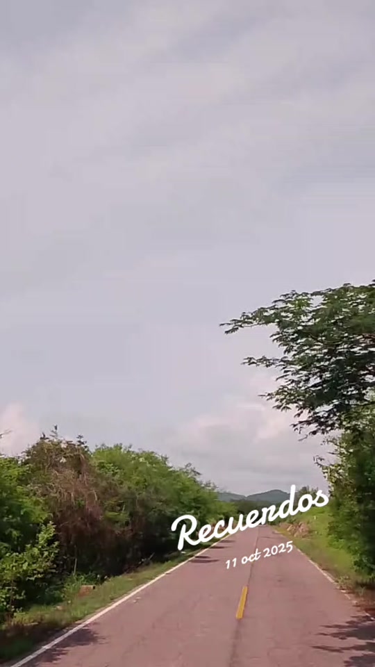 @Eliseo López