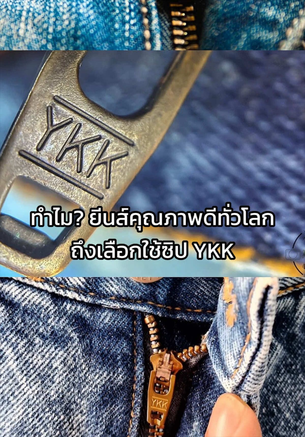 @Jack Russel Jeans