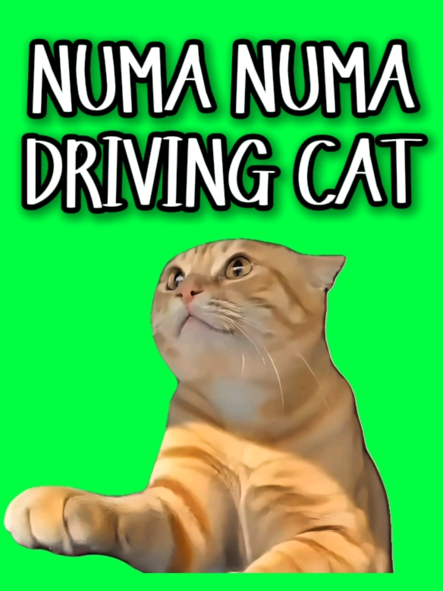 @MemeScreens