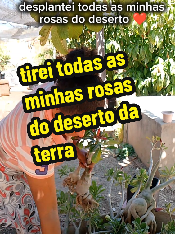 @Maisa Silva ❤️