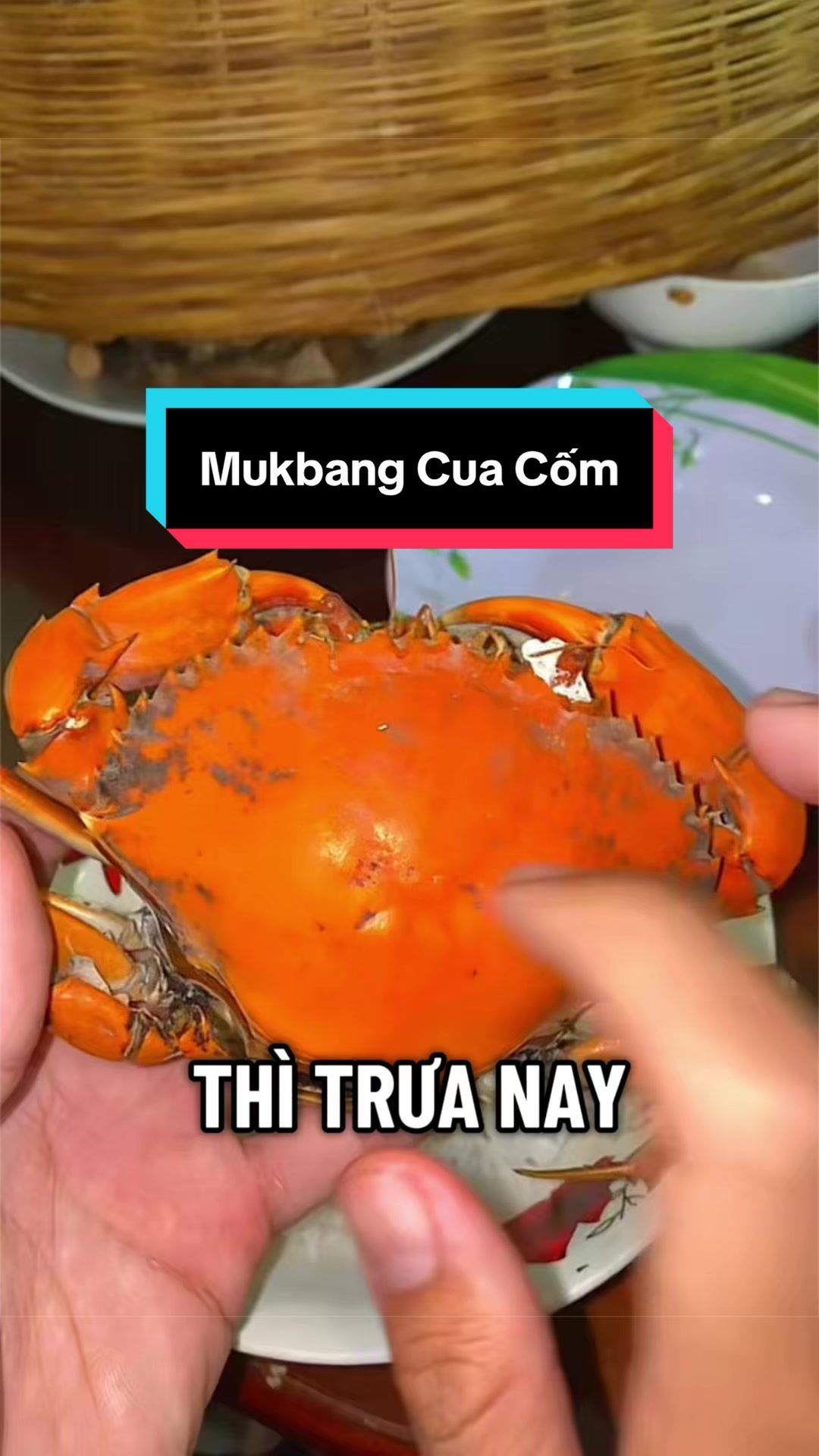 @Tuananh Do
