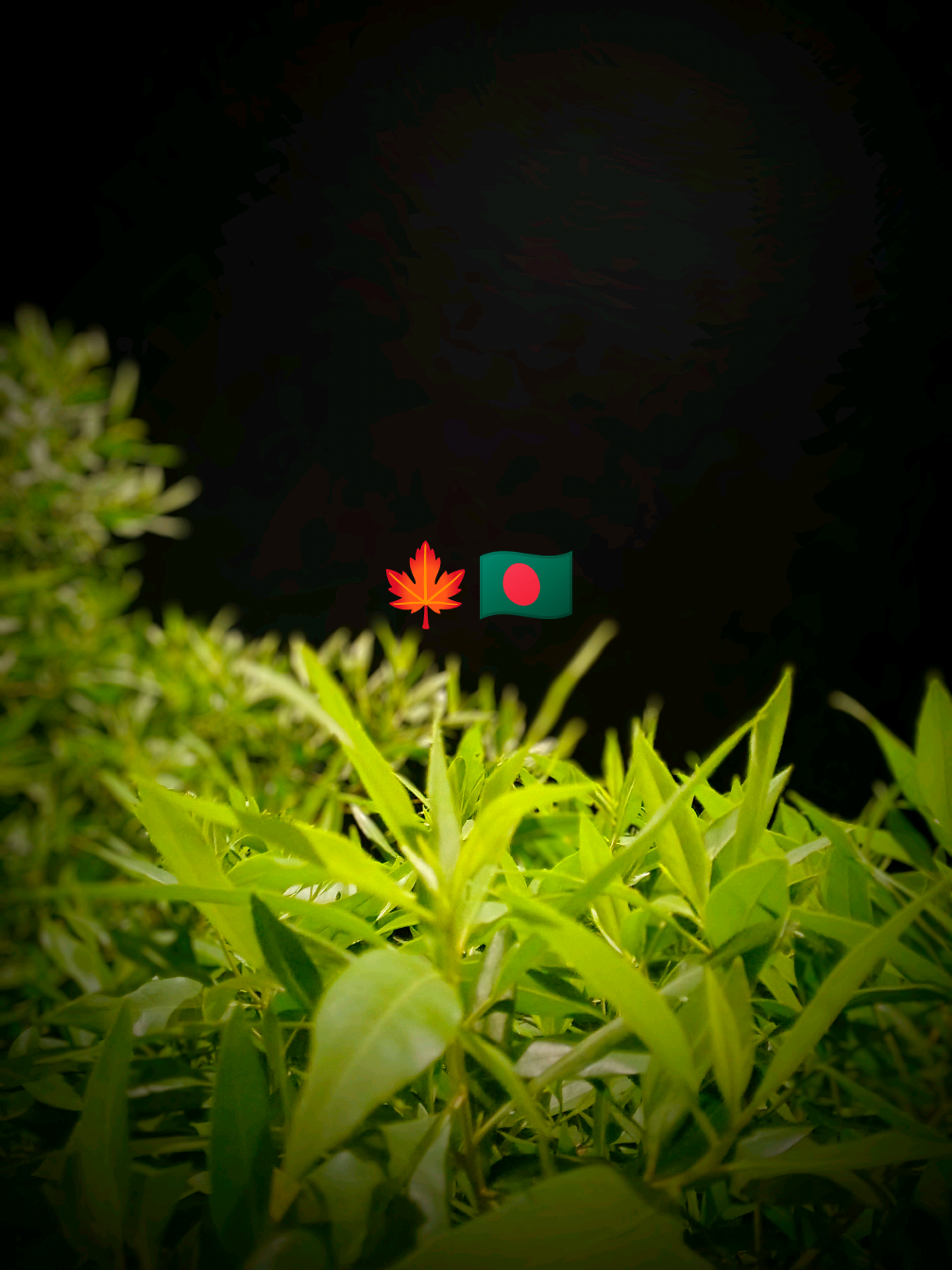 @আধারী