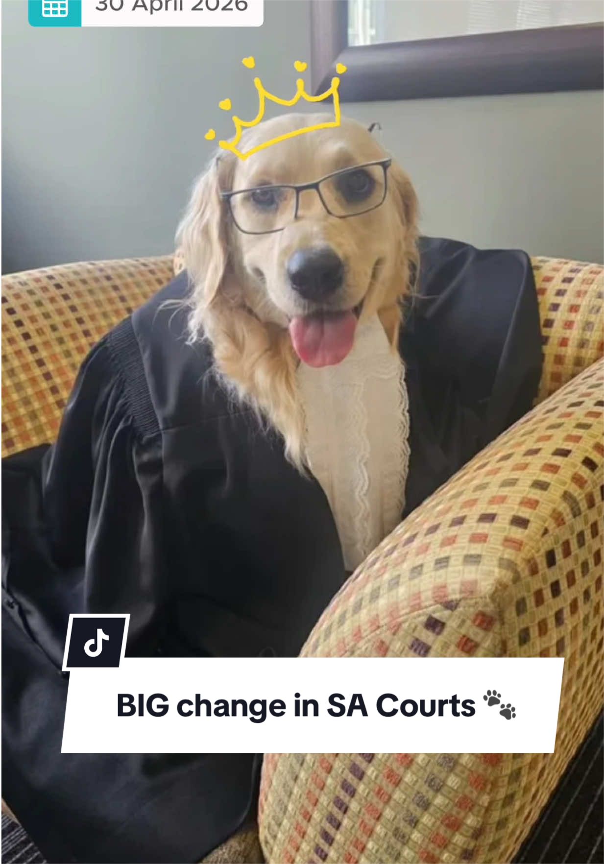 @Bella Monsoon | True Crime SA