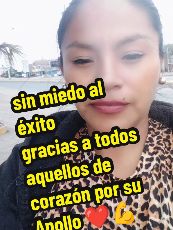 @Yurico🐯🦁