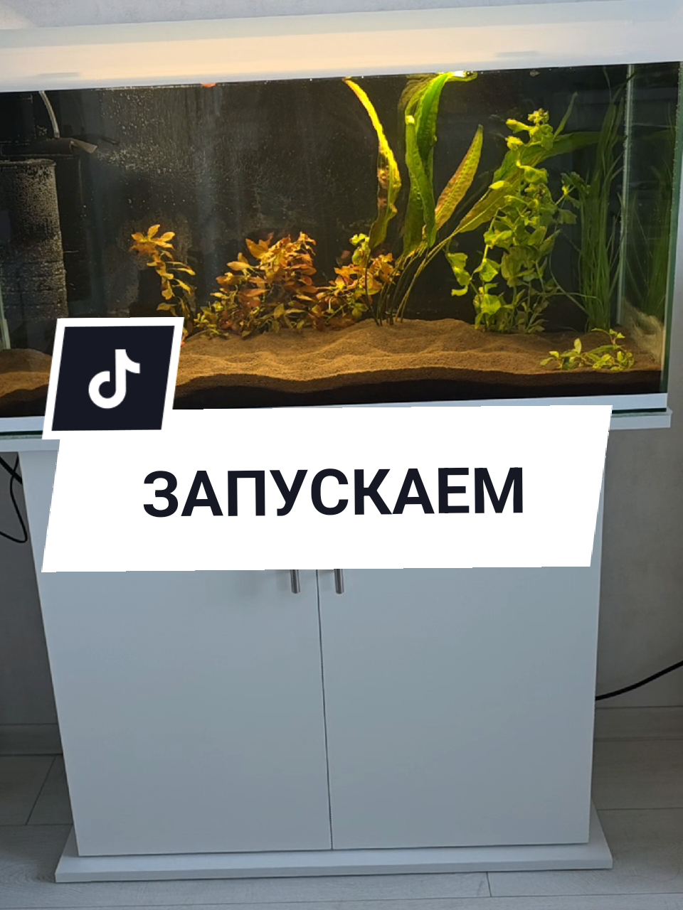 @Аня Бобруйск