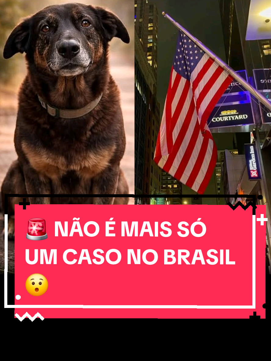 @Sabendo de tudo