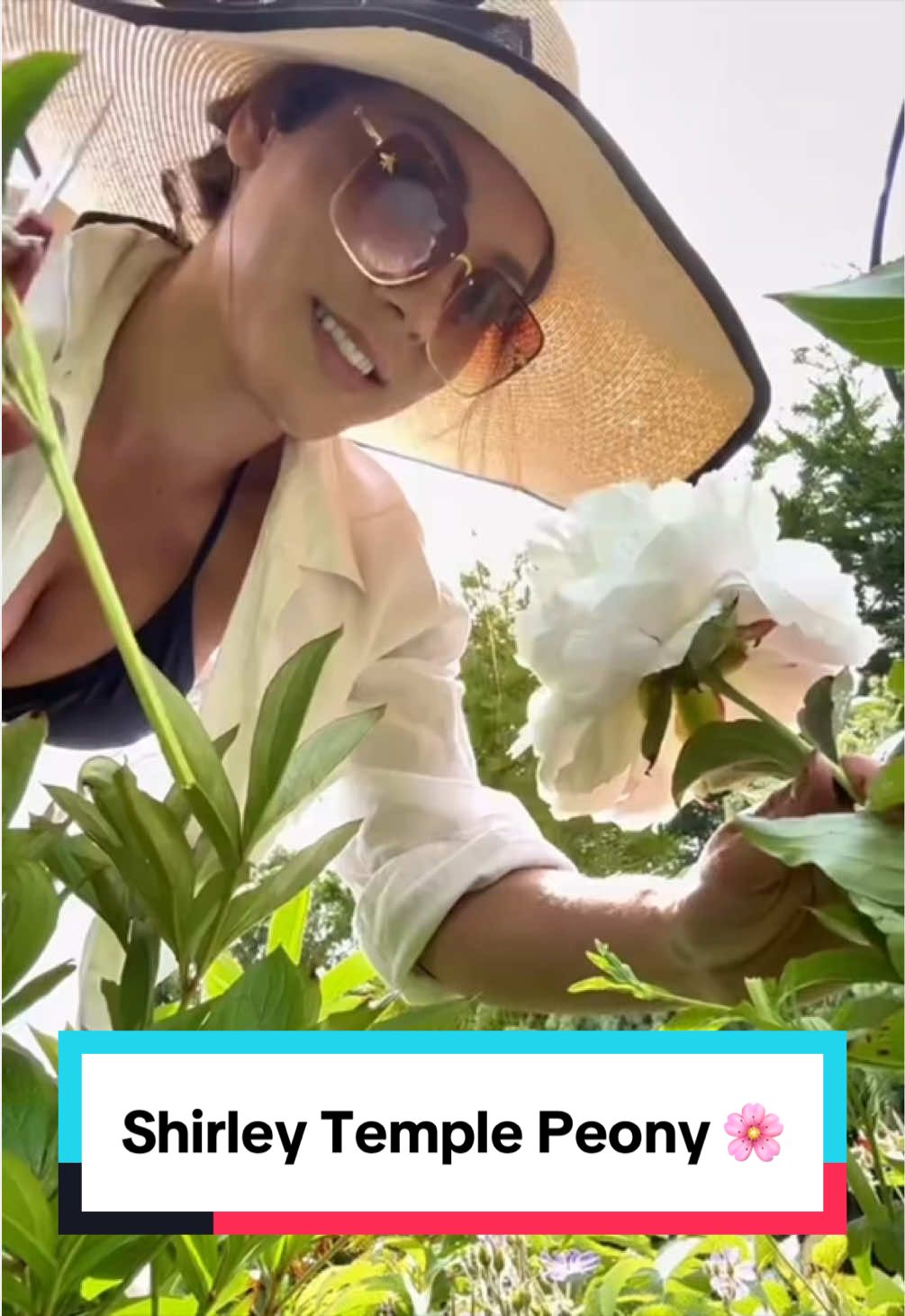 @Ava Dahlia 🇨🇦👩&zwj;🌾✌️