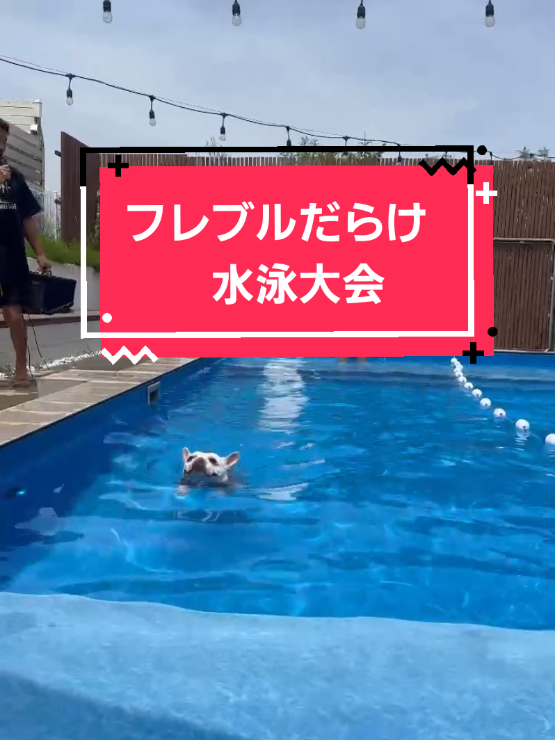 @フレブルJesse ❤️ MyO
