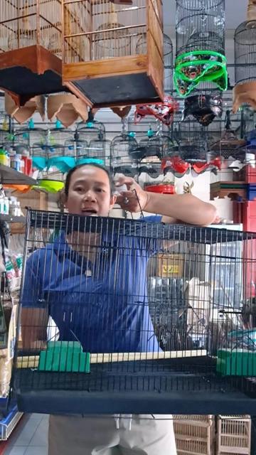 @bukogix