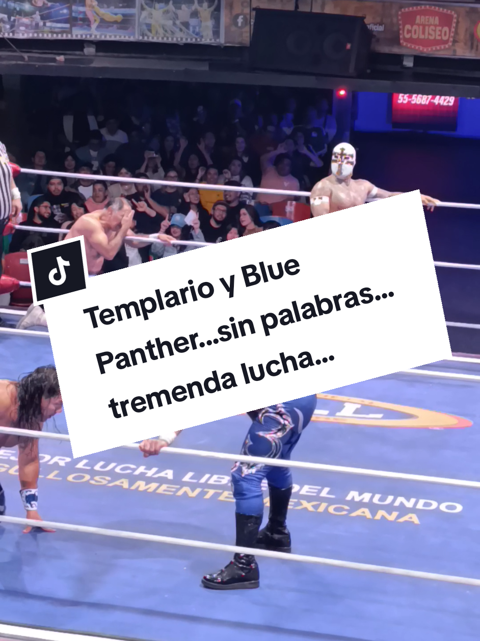 @Damas&Gladiadores Lucha Libre