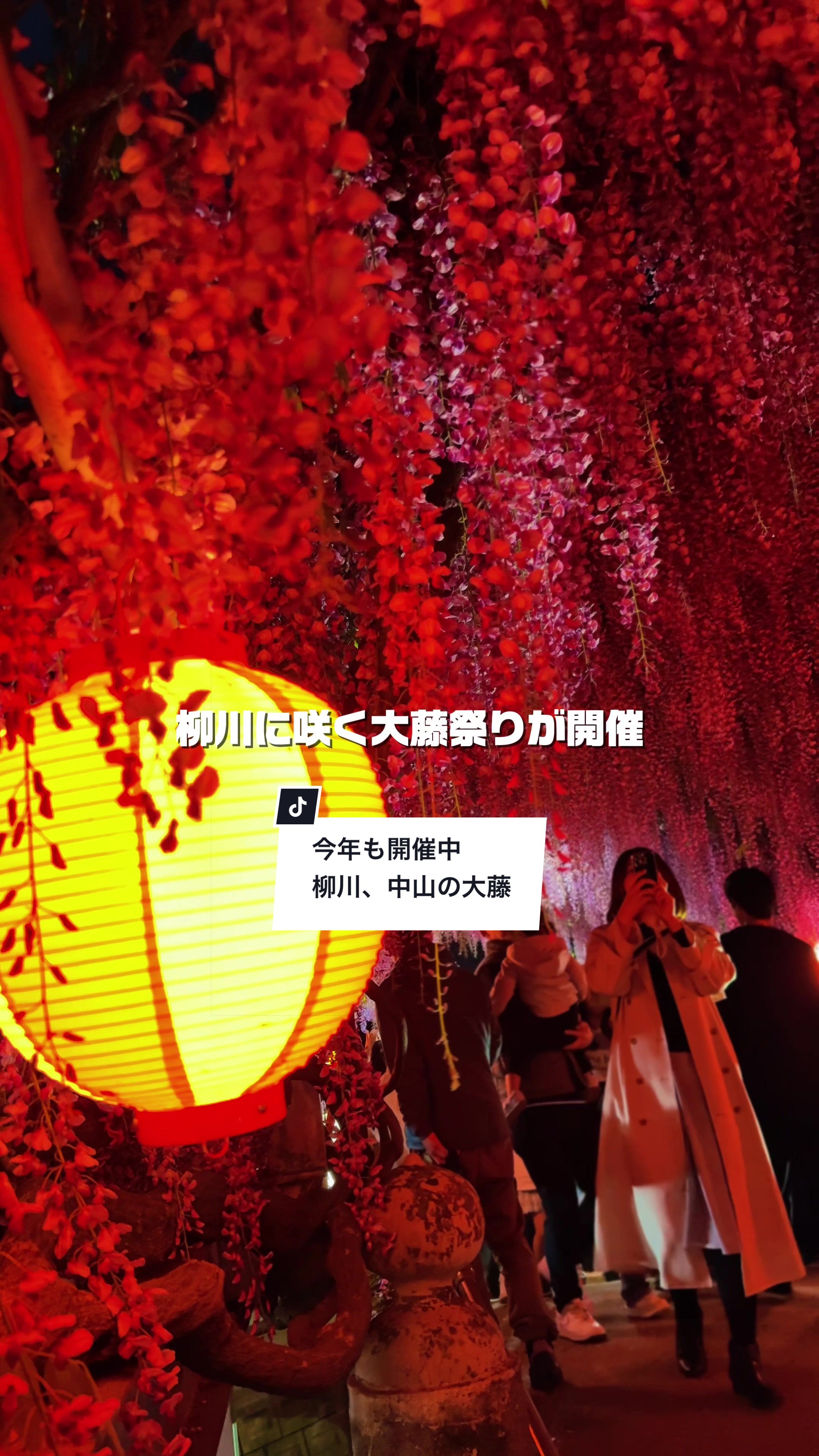 @俺たちならできる!?【九州イベント、観光⠀】